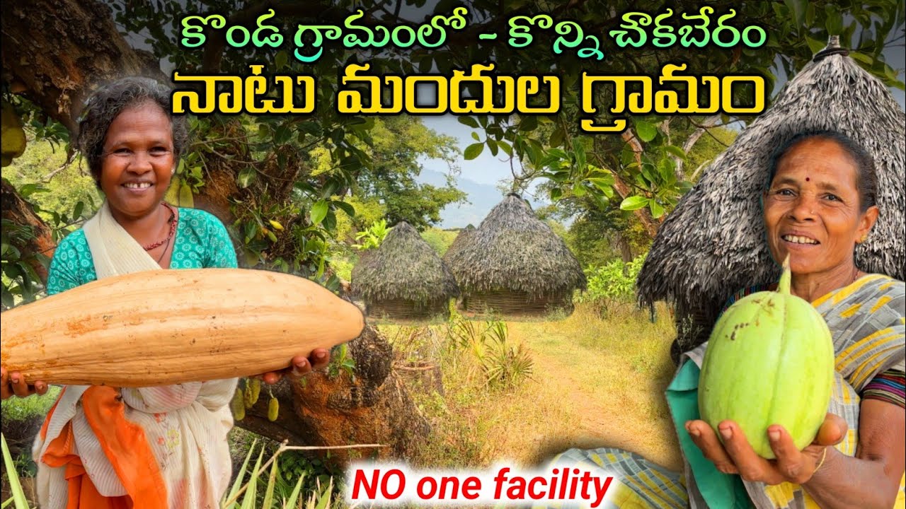 Tribal village vlog - మారుమూల గ్రామం - కప్పలబంద #kondareddy @TribalMirror