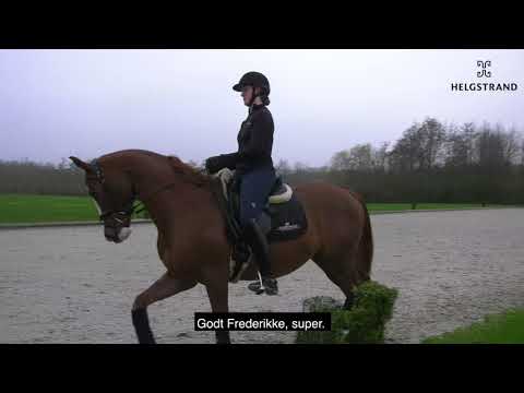 Video: Hvordan Man Lærer En Hest At Sidde