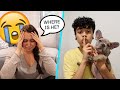 I LOST OUR PUPPY PRANK ON GIRLFRIEND! *EMOTIONAL*
