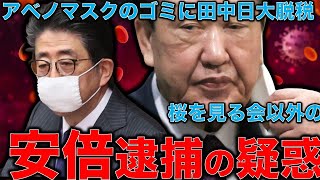 安倍晋三の嘘が日本を滅ぼす！アベノマスク処分に33年かかる？不良品が15％！桜を見る会では終わらない。統計偽装に日大田中理事長逮捕まで･･･罪が多すぎる。元朝日新聞・ジャーナリスト佐藤章さんと一月万冊