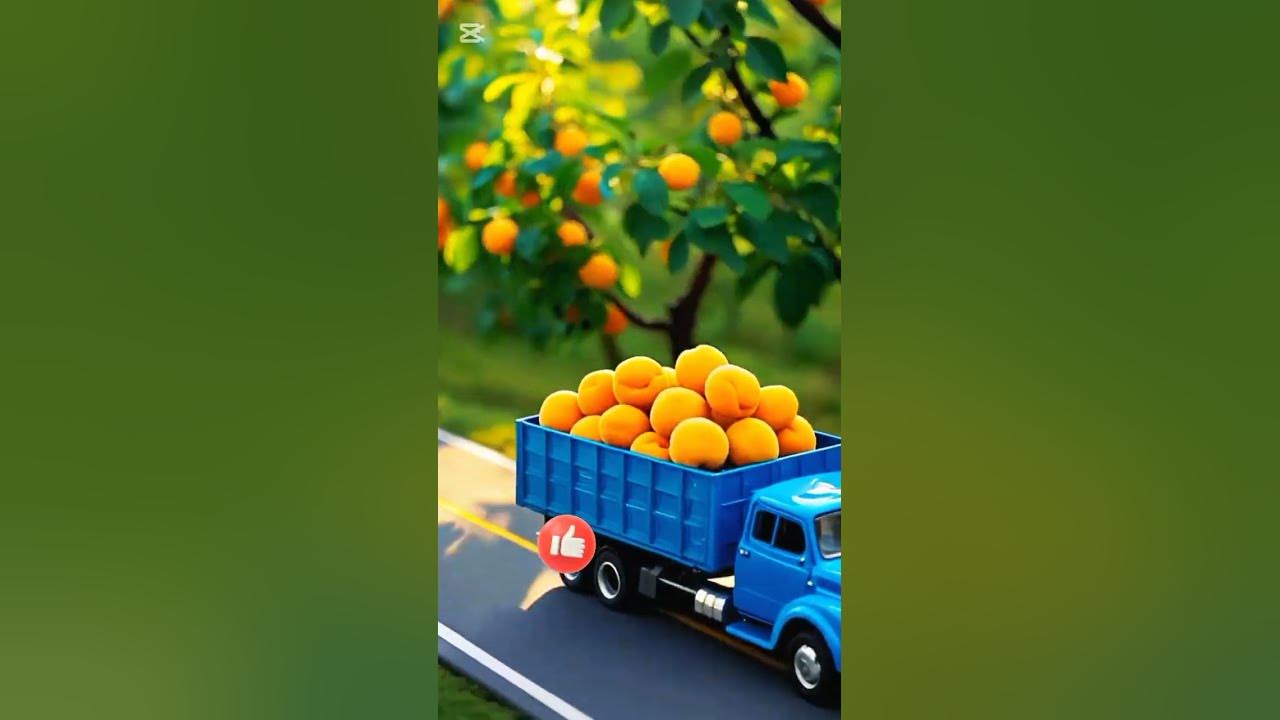 Sunshine in every bite — meet the apricot#shortsviral#apricot#viralvideo#miniature