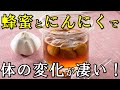 蜂蜜とにんにくを一緒に摂った時の身体への様々な効能が凄い！その驚きの相乗効果とにんにく蜂蜜漬けの作り方と効果的な食べ方とは？