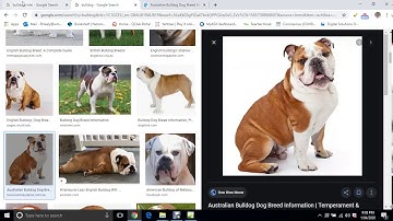 Topic 1 - Introduction To Microsoft Expression Web 4