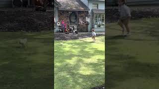 Luca and the ducks at smithville 26 mo 7.22 by Asha Max 9 views 1 year ago 1 minute, 32 seconds