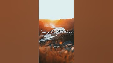مَّا يَفْتَحِ اللَّهُ لِلنَّاسِ مِن رَّحْمَةٍ || سورة فاطر || علي جابر