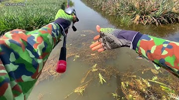 Lure cá lóc tập 24 - Khai cần 2023  Tân Tây, Long An - Tân Phước, Tiền Giang