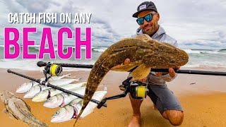 Catch Fish On Any Beach: Beach Fishing Made Easy ✅