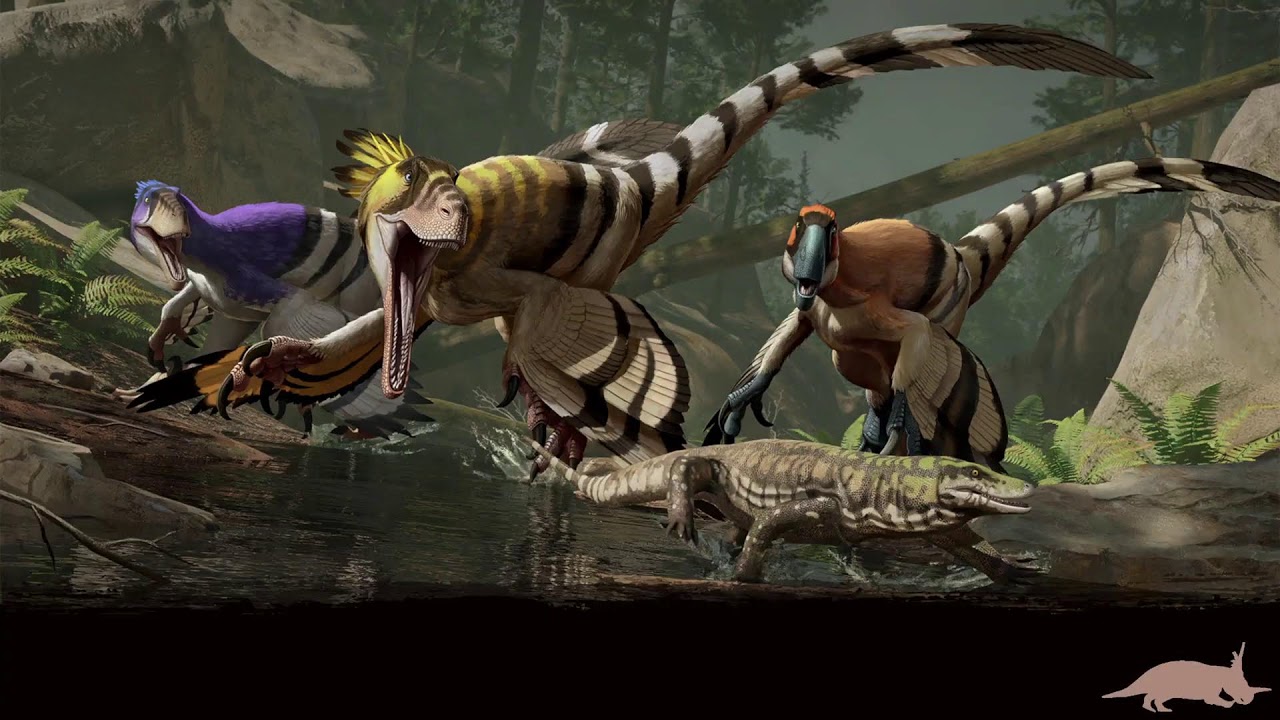 Survival of the Fittest PvP stream!!!