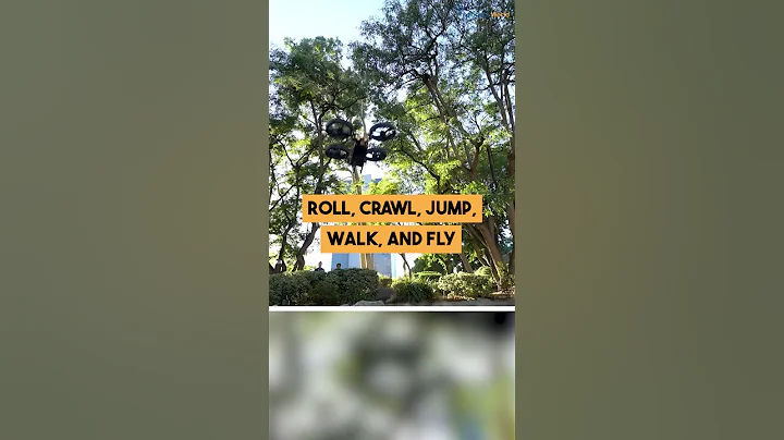 How Robots Move: Roll, Crawl, Jump, Walk, and Fly