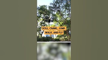 How Robots Move: Roll, Crawl, Jump, Walk, and Fly