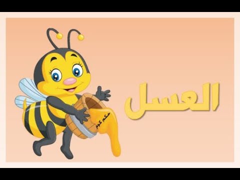 حكم واقوال مشاهير العالم حول العسل اكتشف الحكمة والفوائد المدهشة ثقافة مختارة مشاهير العالم
