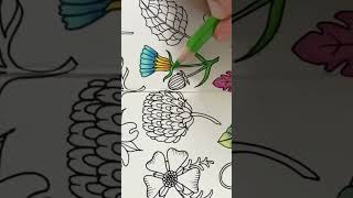 Ivy and the inky butterfly, Johanna Basford coloring books, adult coloring tips & techniques, colors