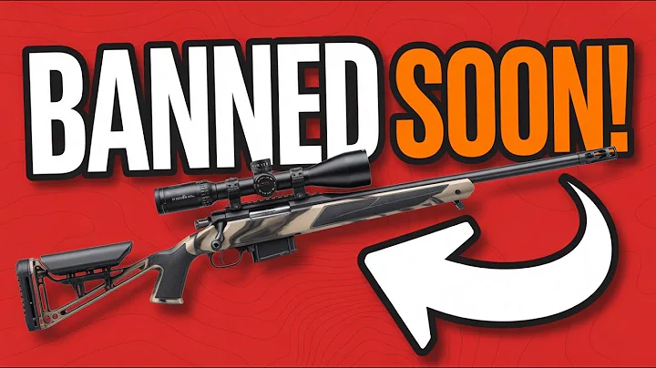 Top 5 Rifles The Government Doesn't Want You To Have!