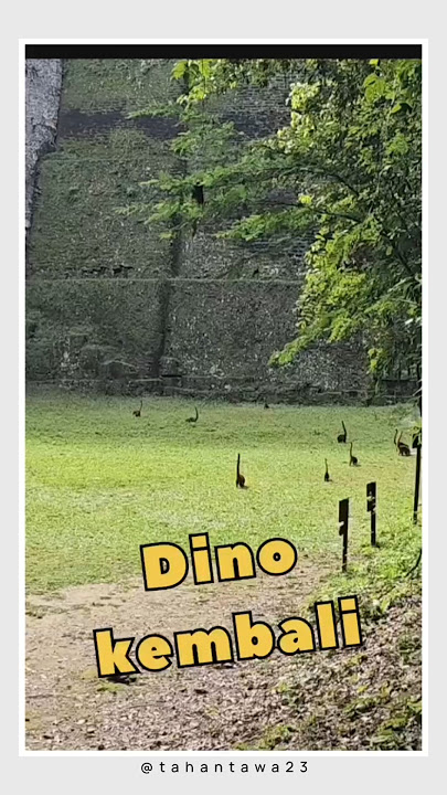 Kera sakti local pride #memes #hiburan #kocak