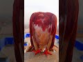 part 140/Types of fantail pigeon in the world