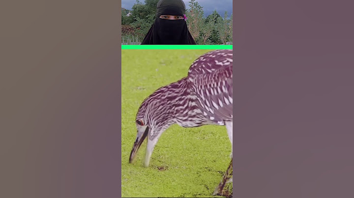 beshak rizq ka wada Allah ne kiya h #trending #shortvideos #viralvideos #reels #newreel #indian