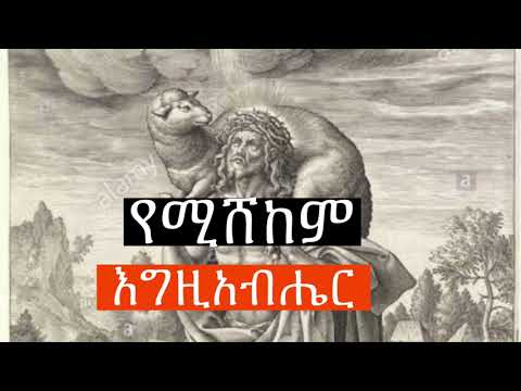 ቪዲዮ: የሚሸከም ፈሊጥ ትርጉም የለውም?