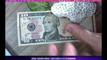 How to use VIISAN P4U Document Camera to record video in macOS?