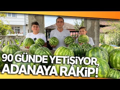 Düzce Karpuzu Adana'ya Rakip Oldu