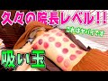 【カッピング 鍼】院長レベル堂々出現！カッピング＆鍼で立ち仕事で溜まった疲労を治療！【視聴者さん参加企画】