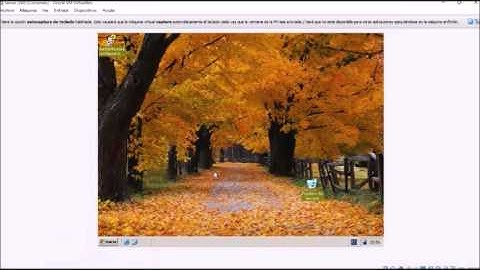 Configurar DHCP en Windows Server 2003 (Virtual Box)