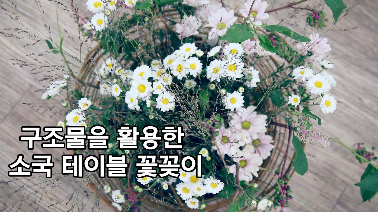배정구의 꽃수다 유튜브 분석 - 유하