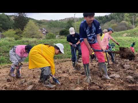 田起こし