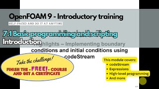 7.1 Module 7 - Basic programming and scripting - codeStream in OpenFOAM #openfoamtraining