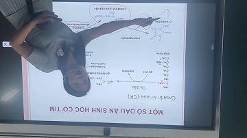 tim mạch b3: hoá sinh tim mạch