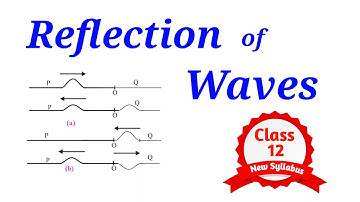 Reflection of waves | Transverse & Longitudinal | Superposition of Waves | Class 12 HSC | Physics