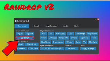 NEW ROBLOX EXPLOIT: RAINDROP RE RELEASE LEVEL 7 LUA C EXE (UNPATCHABLE)