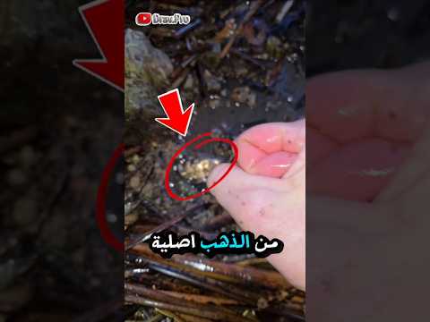 لن تصدق ماذا فعل بعد عتوره على هذه القطعة الثمينة Gold Detector محظوظ كنز Lucky رزق وبركة