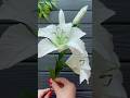 Wow! Amazing Lily Crepe Paper Flower DIY Decoration Craft