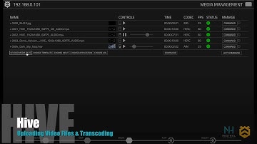 Hive Transcoding Media   HD 1080p