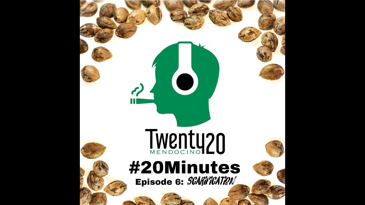 Twenty20 Mendocino Autoflowers Race Page 3 The Autoflower Network