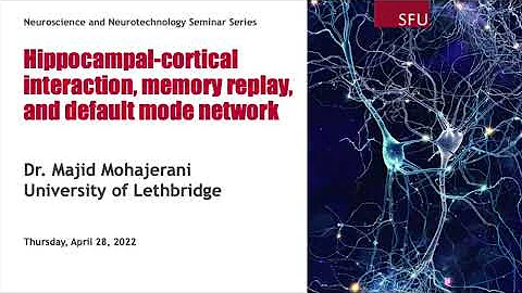 Hippocampal-Cortical Interaction, Memory Replay, and Default Mode Network