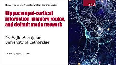 Hippocampal-Cortical Interaction, Memory Replay, and Default Mode Network