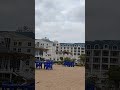 توليب الإسماعيلية توليب الإسماعيلية