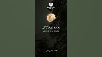 #الشيخ أحمد بن طالب | سورة الزخرف { 67 - 68 }