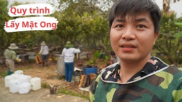 Quy Trình Thu Hoạch Mật Ong Hoa Vải Nguyên Chất - Đặc Sản Bắc Giang
