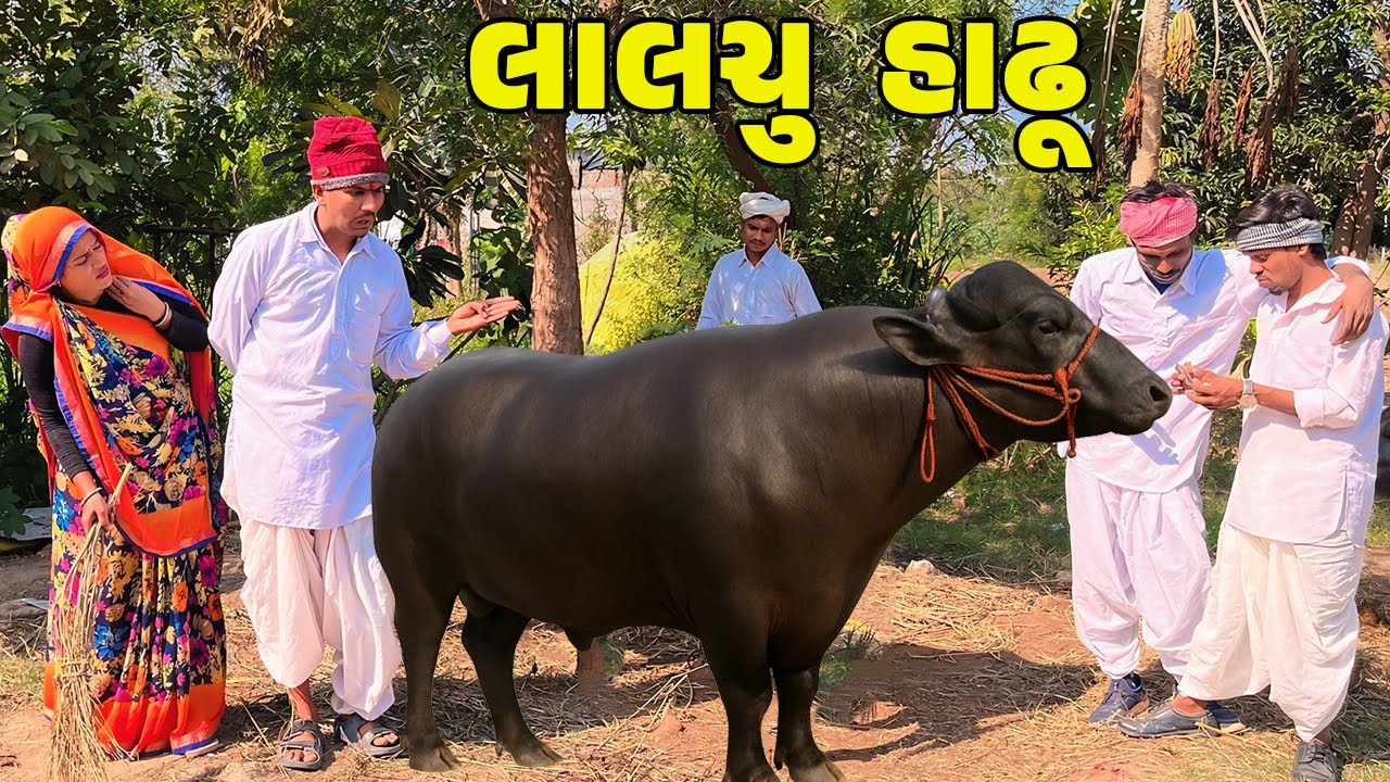 લાલચુ હાઢૂ ની કરી દવા  // Gujarati Comedy Video // LALCHU HADHU // કોમેડી વિડિઓ // Desi Kings