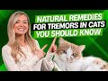 Are you aware of these 7 natural remedies for cat tremors