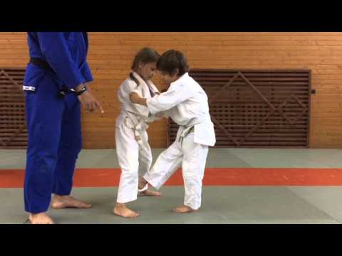 Видео урок дзюдо для детей