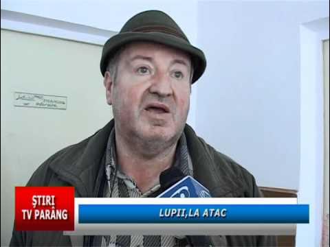 Лупий михаил григорьевич фото
