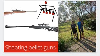 Shooting Pellet Guns At Targets
