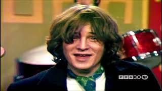 NEW 📀 The  Letter - The Box Tops 1967 4K {Stereo}
