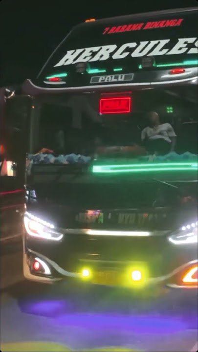 Cinematic bus Sulawesi