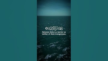 عمير شميم - سورة الرحمن