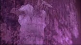 Kokia 花宴 桜吹雪 Hana Utage Sub English Youtube
