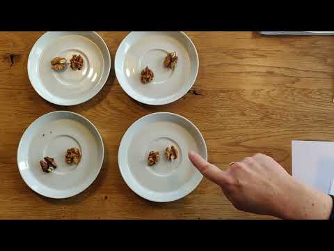 Multiplikation mit der Null